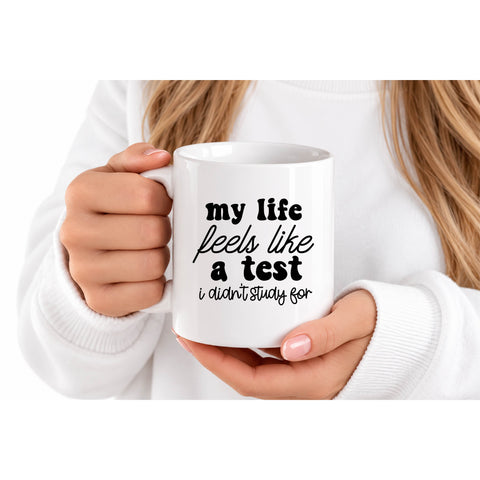 My Life Feels Like a Test mug design